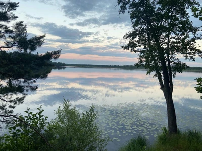 Пляж (Пляж)