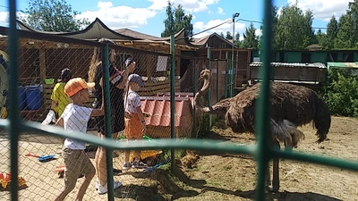 "Контактный зоопарк", контактная ферма в 20 км от МКАД по Осташковскому шоссе