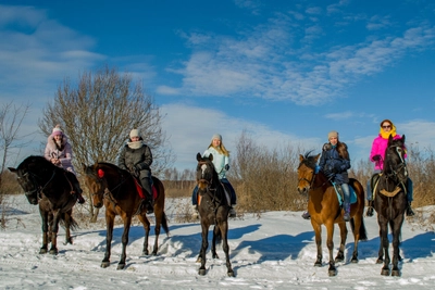 Валькирия (Конный клуб )