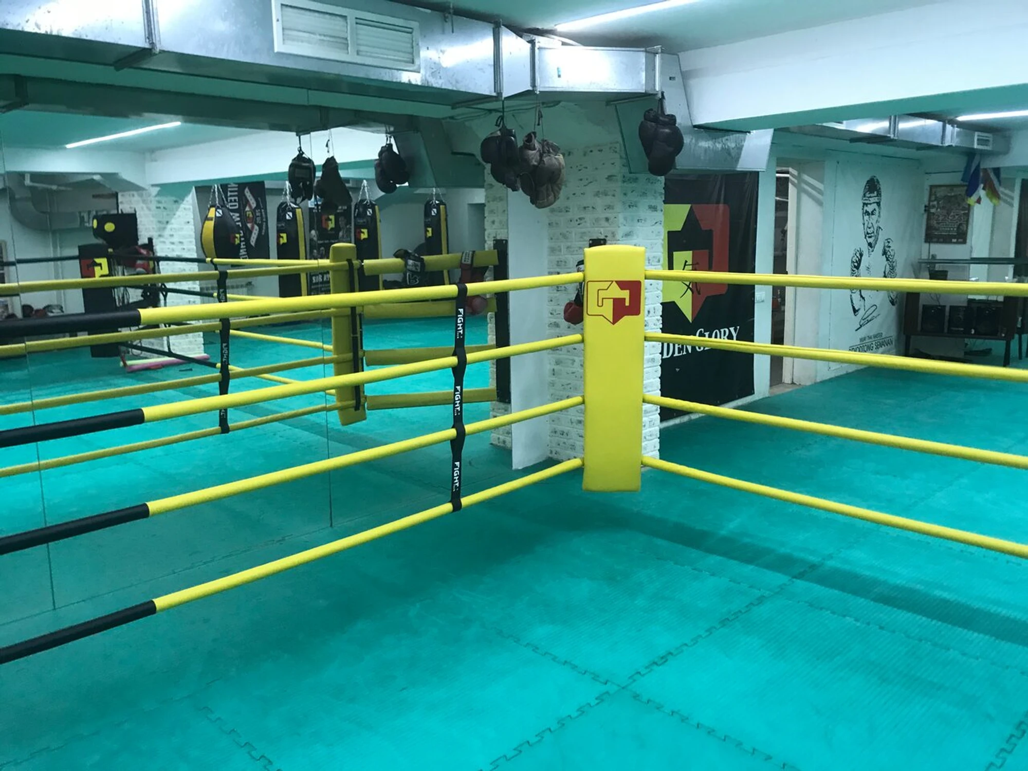 Бойцовский клуб Golden glory (Спортивный клуб, секция )