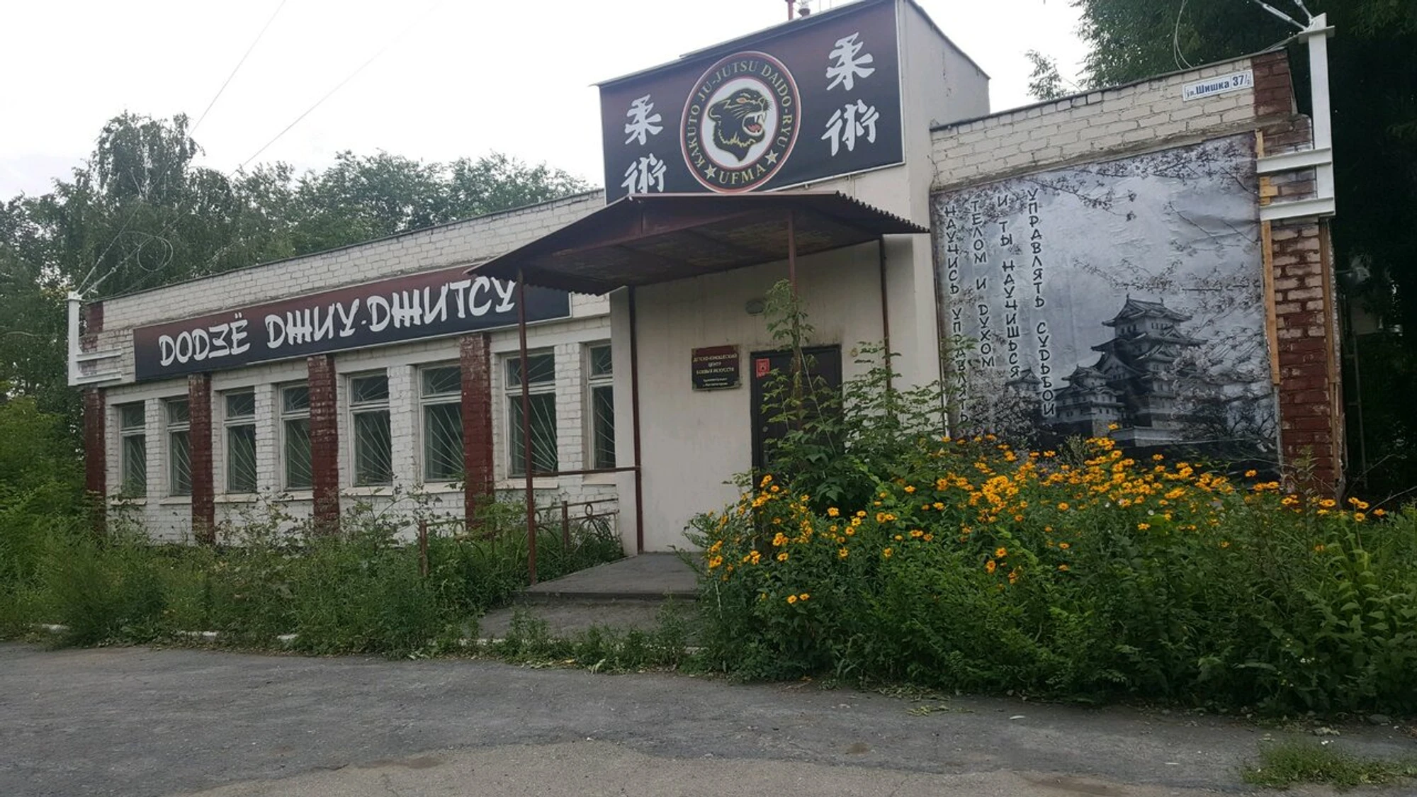 Детско-юношеский центр боевых искусств (Спортивное объединение )