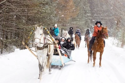 Сивкина конюшня (Конный клуб )