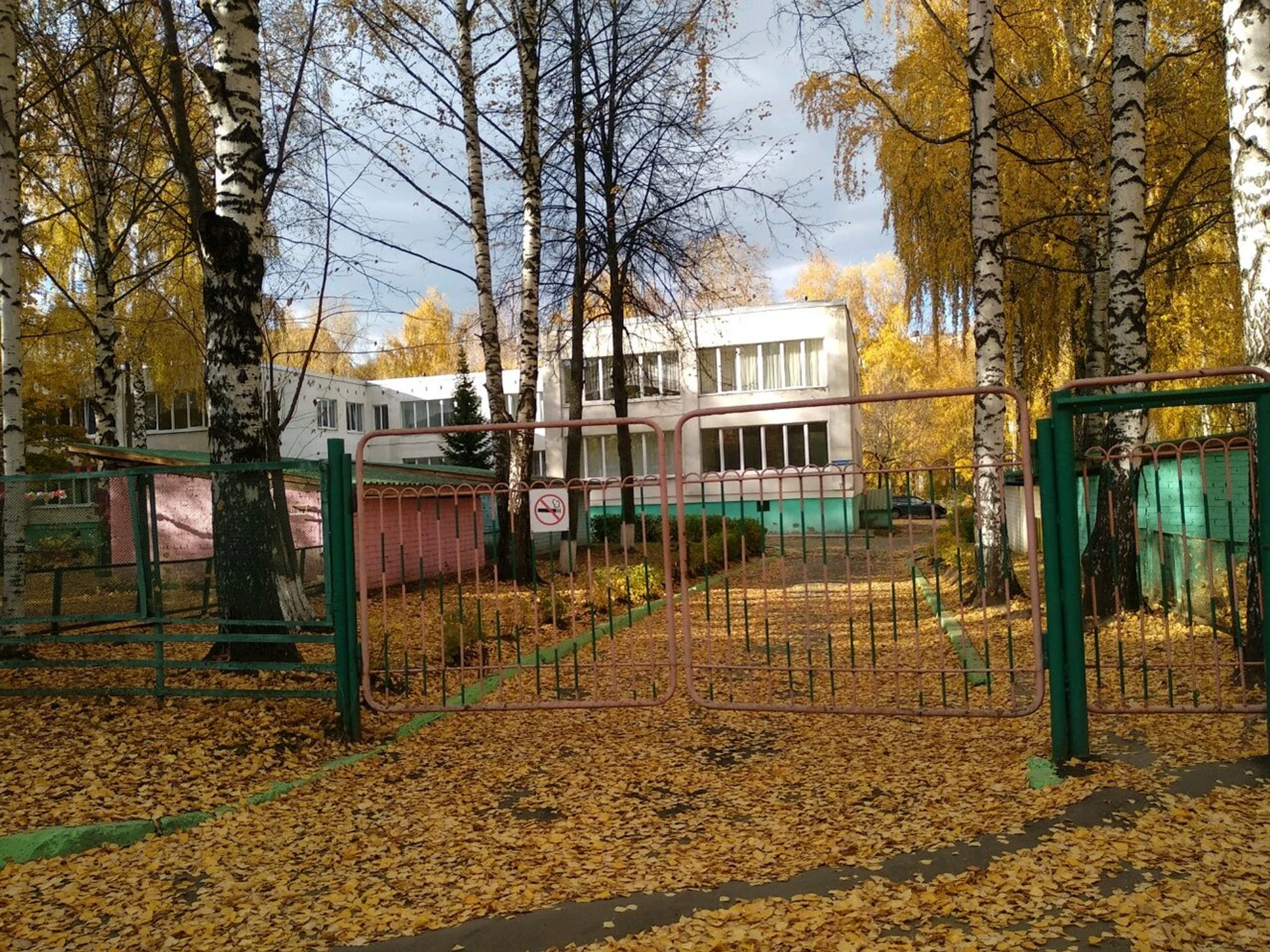 Центр развития ребенка-детский сад (Детский сад)