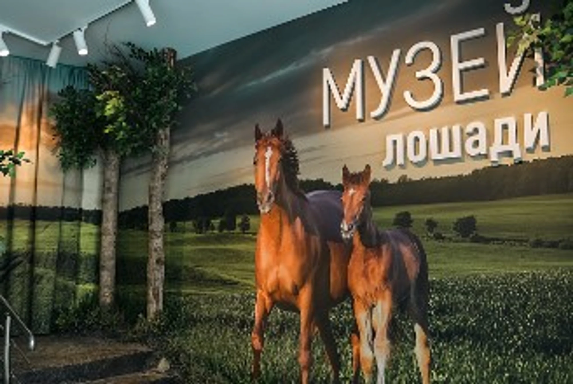 Музейный город на ВДНХ