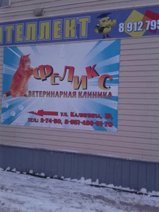 Феликс (Ветеринарная клиника )