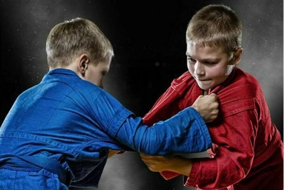 Спортивная школа олимпийского резерва № 17 по борьбе Самбо