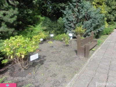 Ландшафтный парк областного экологического центра, Калининград