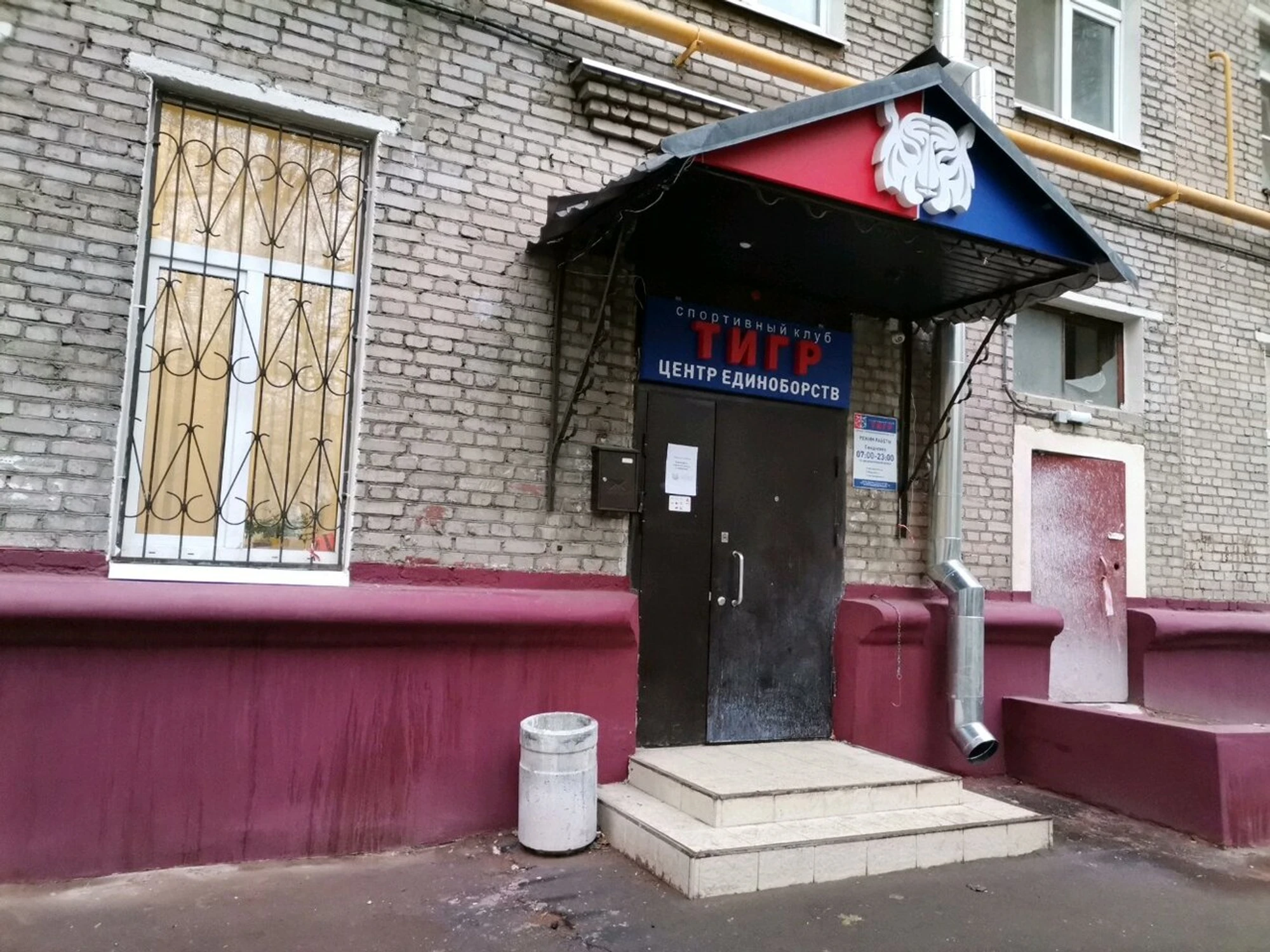 Тигр (Спортивный клуб, секция )