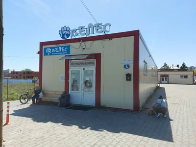 Велес (Ветеринарная клиника )