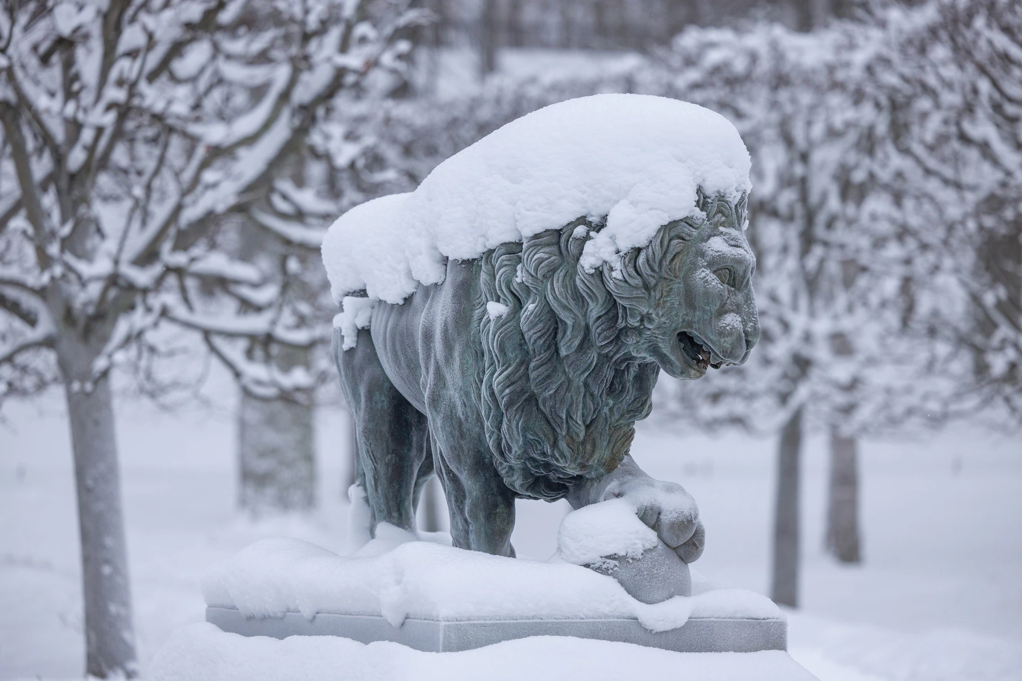 Фото:&nbsp;vk.com/peterhof_museum