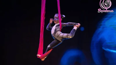 Академия спорта и воздушной гимнастики "Вертикаль" в Академическом, (ул. Парина, 38/7)