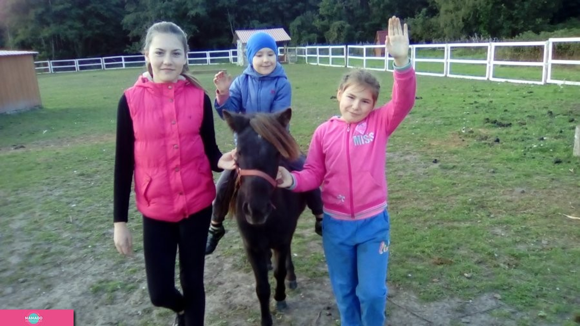 "Конек Горбунок", пони-ферма, мини-зоопарк, фотосессии с лошадьми, детские праздники в Калининградской области 