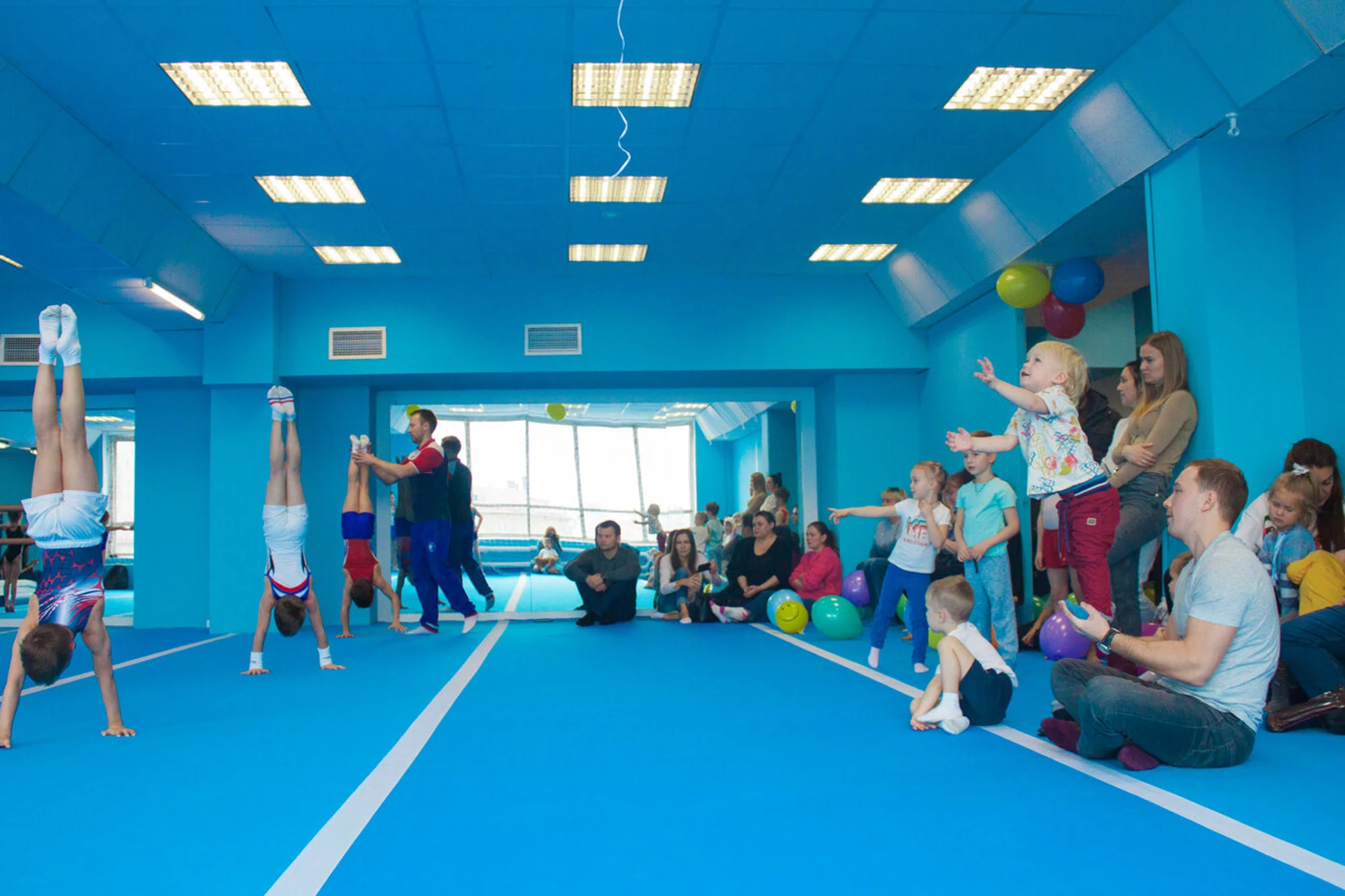 TimGym (Спортивный клуб, секция )