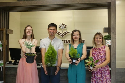 Сад с иголочки (Питомник растений )