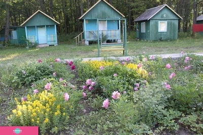 "Астра", база отдыха для семей с детьми, Новая Усмань, Воронежская область 