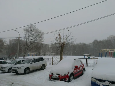 Стадион (Стадион)