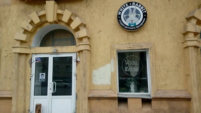 White rabbit (Организация и проведение детских праздников )