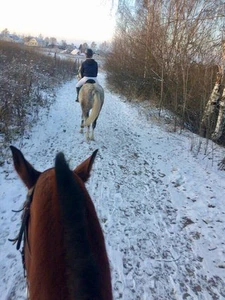 КСК Берендеево (Конный клуб)