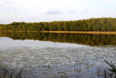 Воскресенское Поветлужье (Экскурсии )