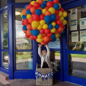 Индиго (Центр развития ребёнка )