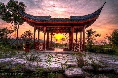 Wing chun (Спортивный клуб, секция )