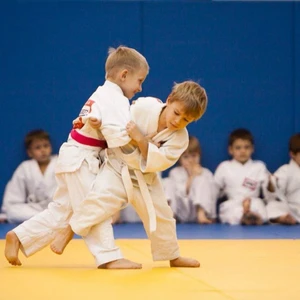 Защитник (Спортивная школа )