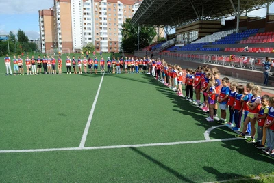 Спортивная школа Города Звенигород (Спортивная школа)