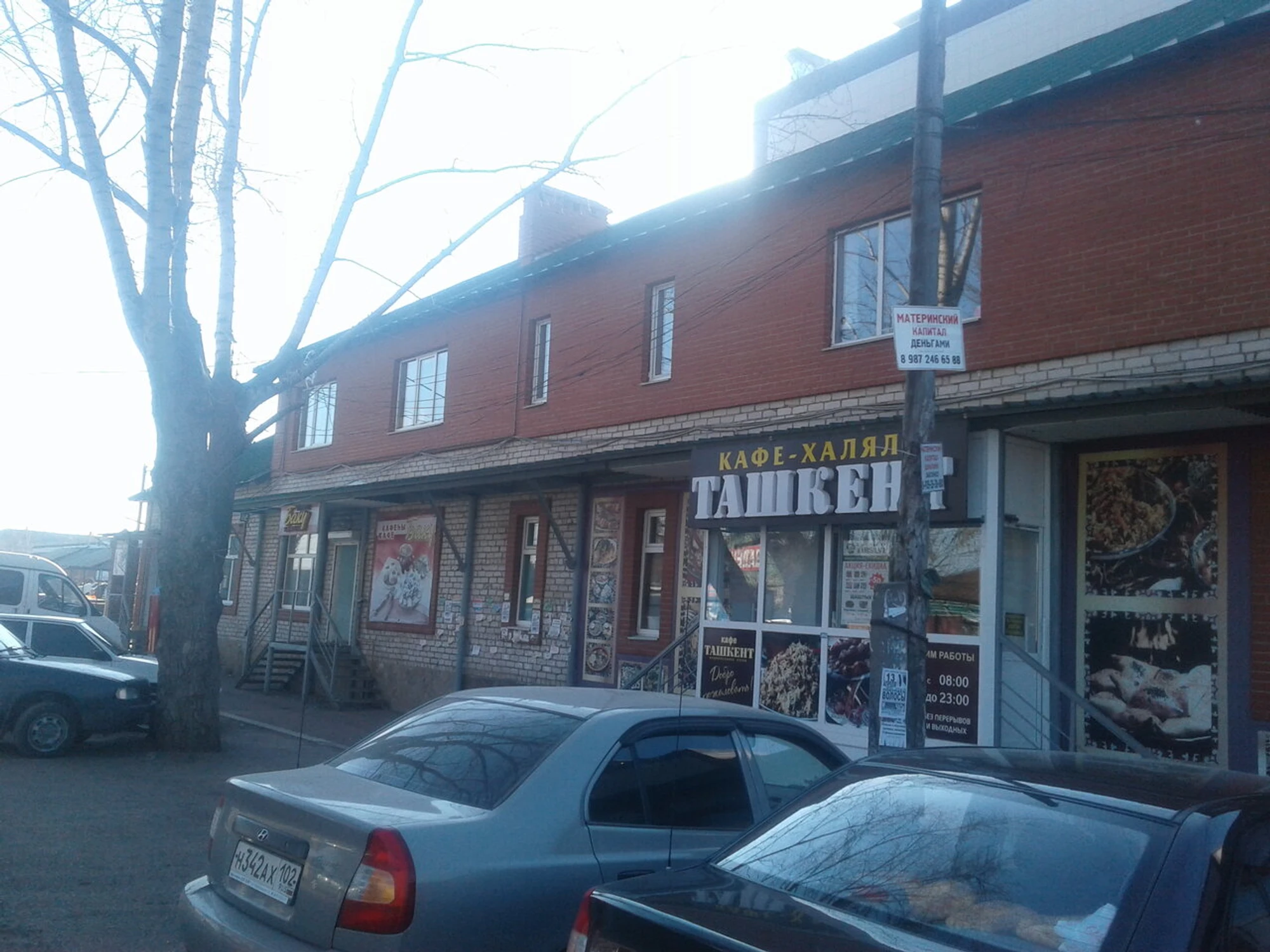 Ташкент (Кафе)