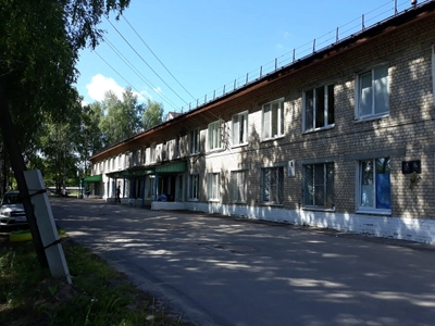 Дальнеконстантиновская центральная районная больница (Больница для взрослых )