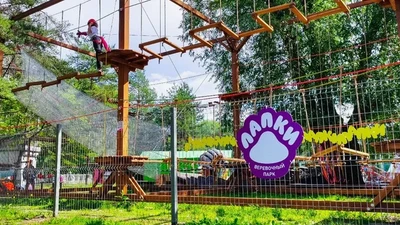 Веревочный парк Лапки