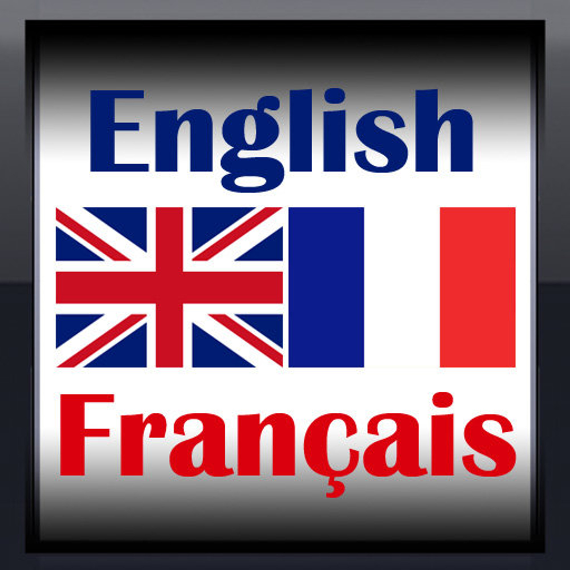 Репетитор английского и французского языка (Услуги репетиторов )
