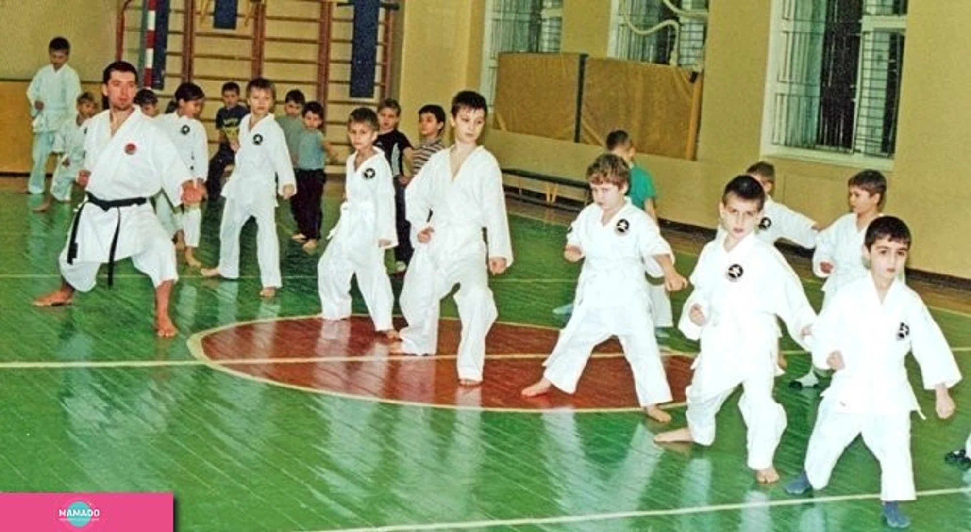 Anshinkai ("Аншинкай"), клуб каратэ для детей от 7 лет (Москва)