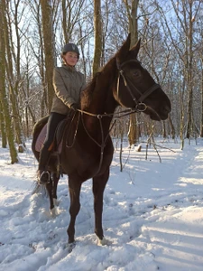 Мустанг (Конный клуб)