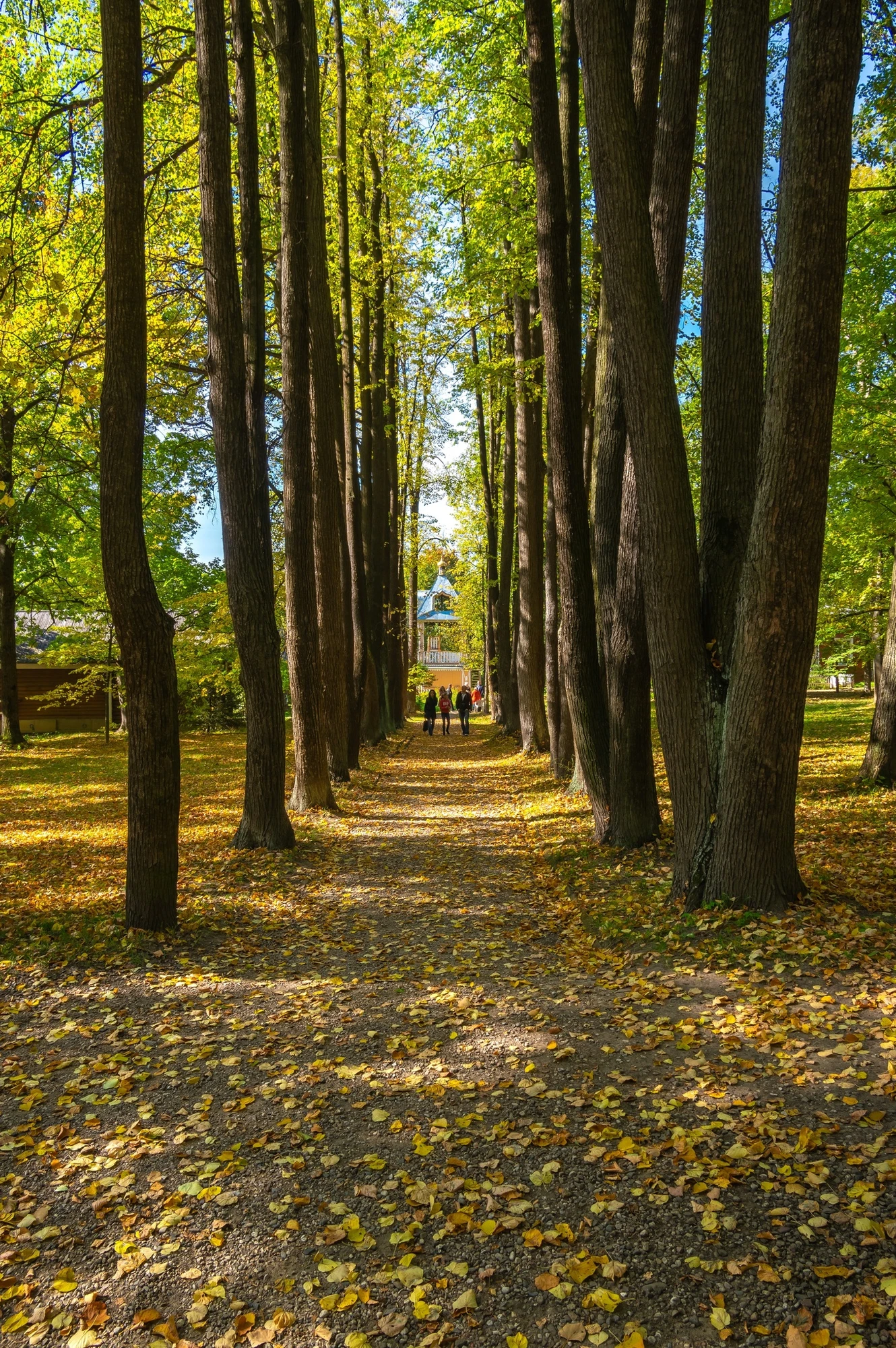 Бесплатное посещение Музей-усадьбы "Мураново" участникам СВО, а также членам их семей