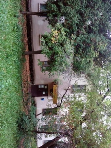 Детско-юношеская спортивная школа № 5 (Спортивная школа)