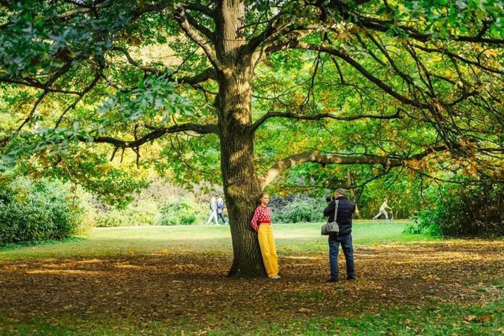 Услуга «Фотограф в парке»