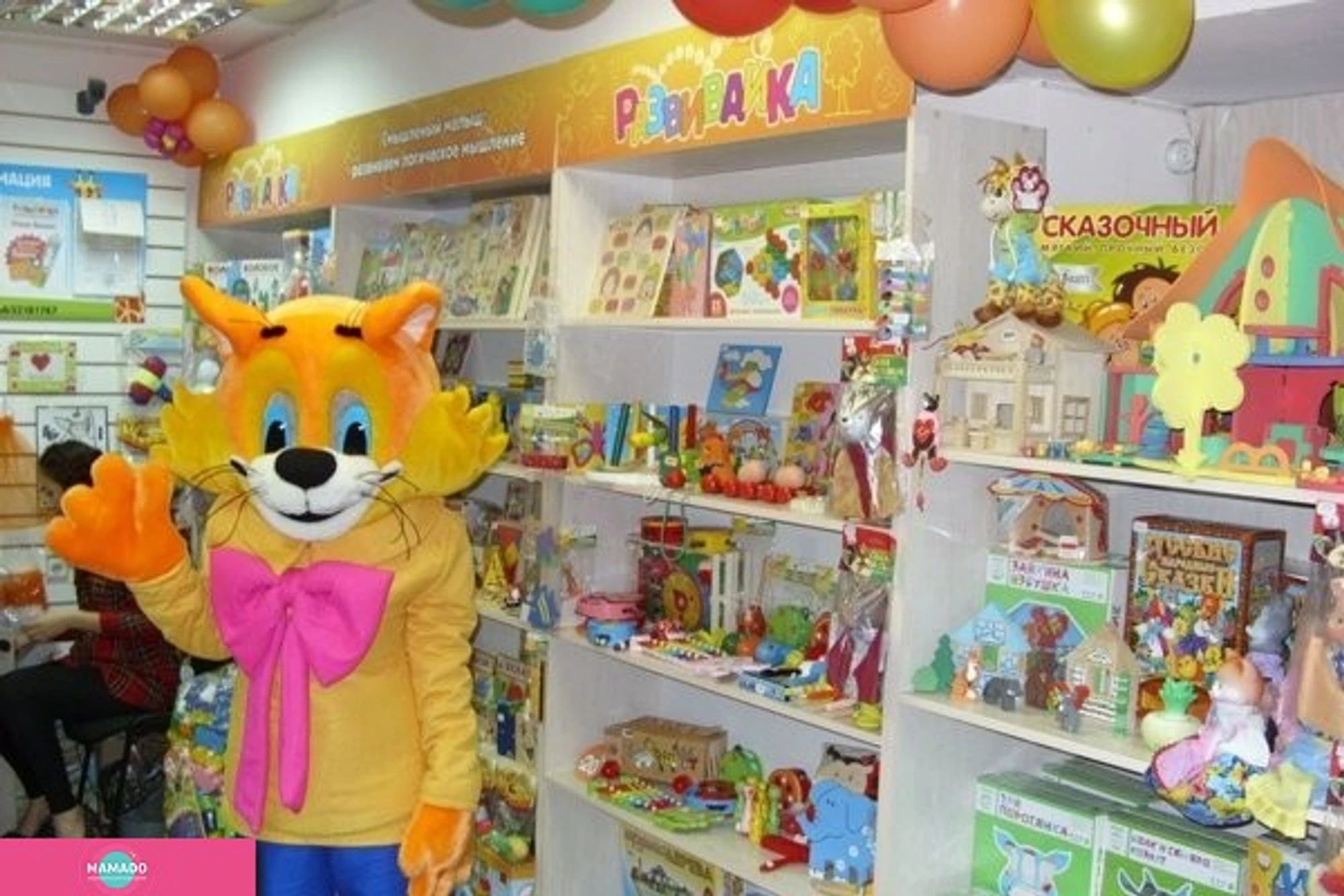 "Развивайка", магазин развивающих игрушек и настольных игр для детей на Древлянке, Петрозаводск