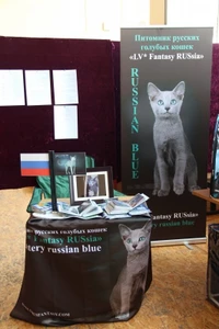Питомник Русских Голубых Кошек Lv Fantasy RUSsia (Питомник животных)
