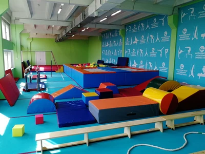 Академия гимнастики (Спортивный клуб, секция )