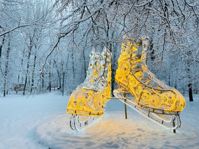 "Северное Тушино", каток