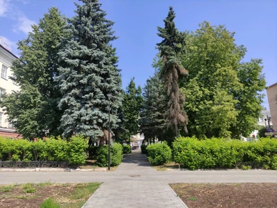 Литературный сквер (Сквер )