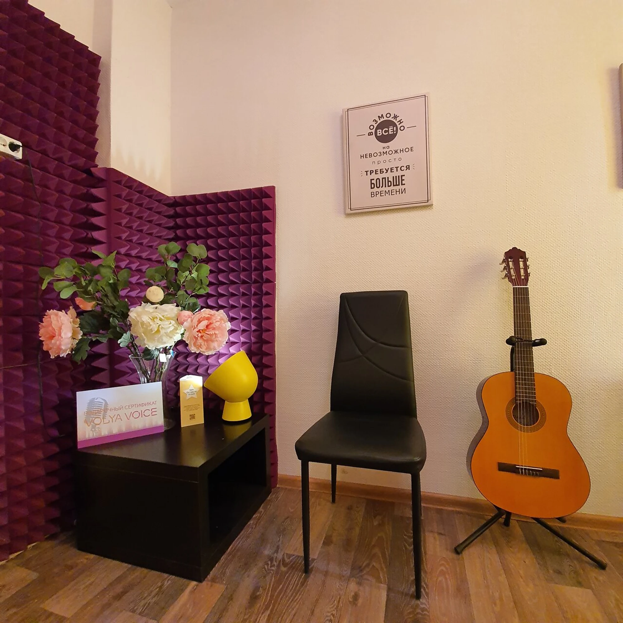 Volya Voice (Музыкальное образование)