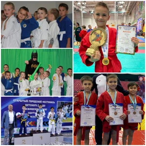Спортивный клуб борьбы по дзюдо и самбо (Спортивный клуб, секция)