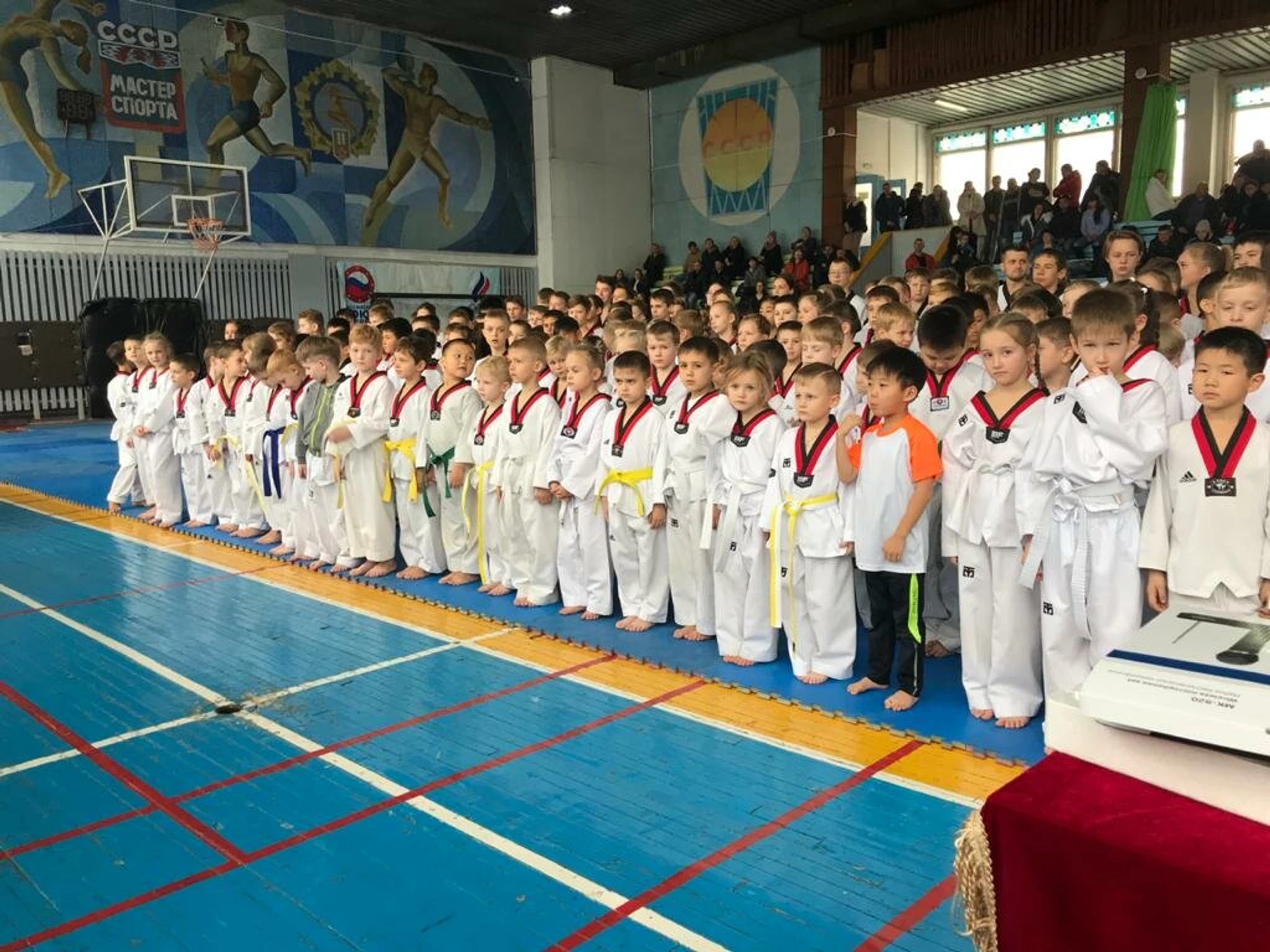 Патриот (Спортивный клуб, секция )