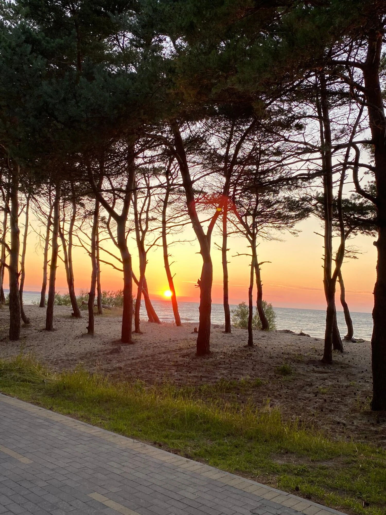 Куликово Поле (Турбаза )