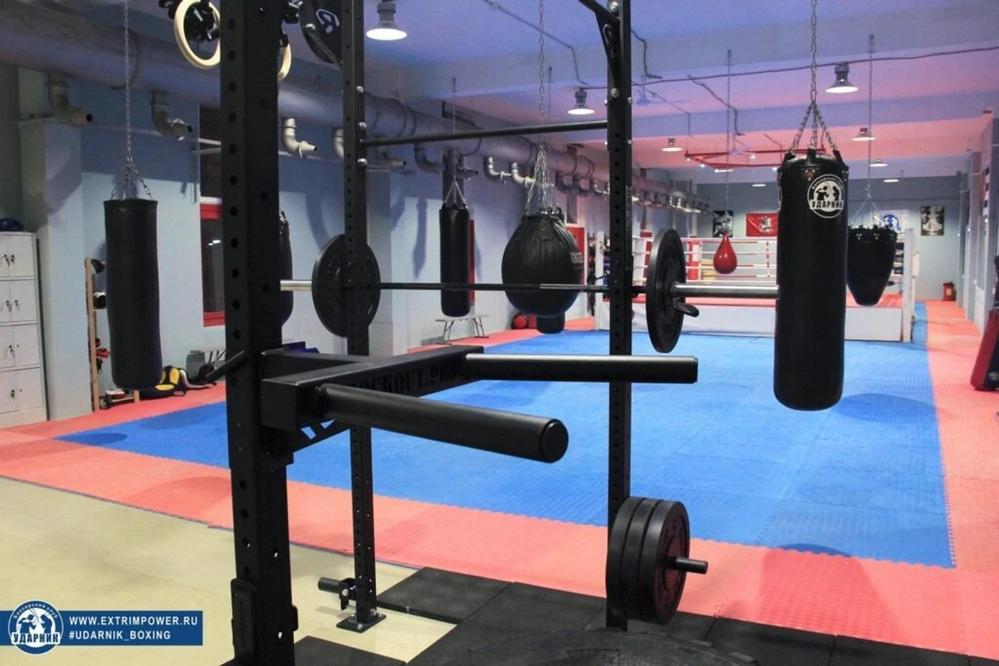 Абонемент на индивидуальные занятия по боксу для детей в клубе "Ударник"