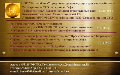 Бизнес-Сити (Финансовый консалтинг )