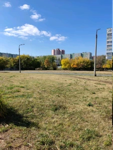 Стадион (Стадион)