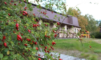 Дом рыболова (Гостиница)
