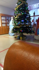 Бирская Детская школа Искусств им. М. З. Баширова (Дополнительное образование )